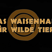 Das Waisenhaus für wilde Tiere