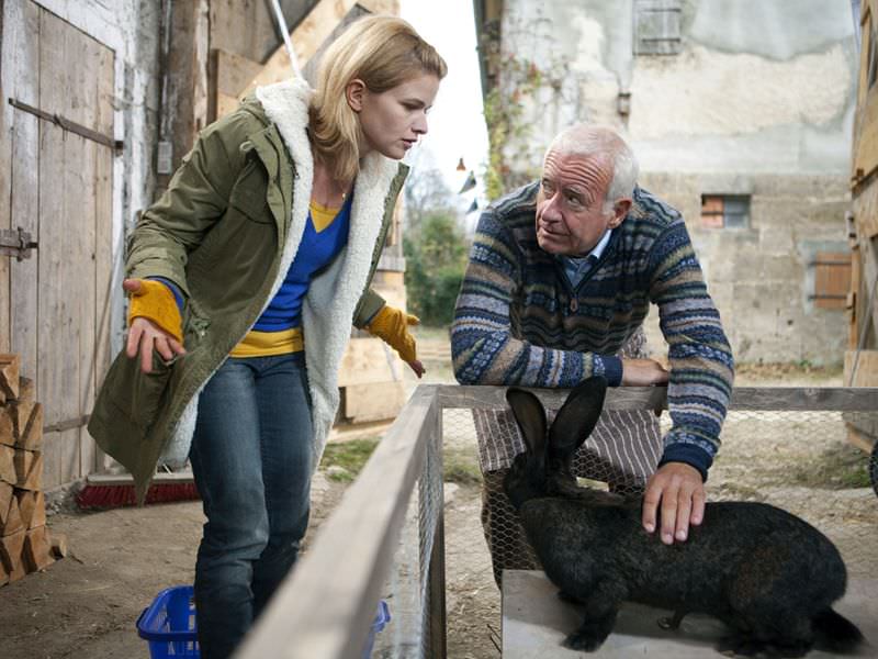 Heiter Bis Tödlich Fuchs Und Gans